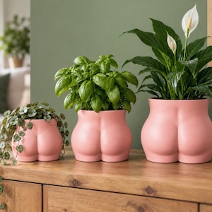 May include: Three matte pink ceramic planters shaped like human buttocks in varying sizes. The smallest holds a trailing vine plant, the middle holds a basil plant, and the largest holds a peace lily with two white flowers and green leaves.