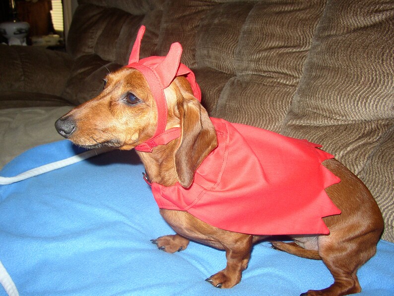 Small Dog Devil Dog Cape Slides over the Collar Small Medium and Large Sizes