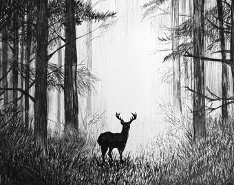 Veado na Floresta