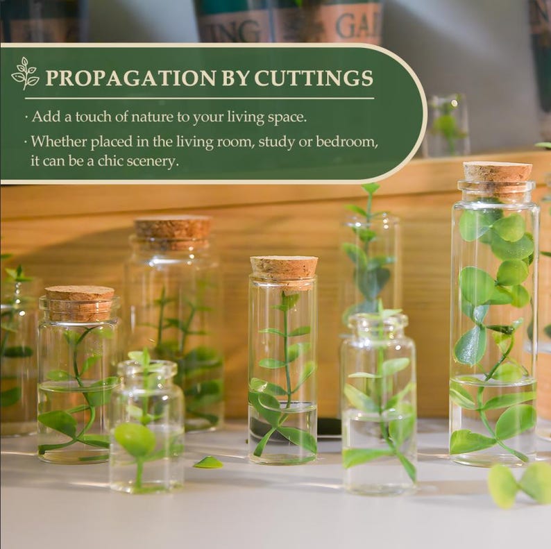 Pode incluir: V&aacute;rios frascos de propaga&ccedil;&atilde;o de vidro com rolhas de corti&ccedil;a, cheios de &aacute;gua e estacas de plantas verdes. A imagem inclui o texto "PROPAGATION BY CUTTINGS" e incentiva a adi&ccedil;&atilde;o de natureza aos espa&ccedil;os de conviv&ecirc;ncia.