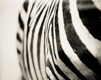 Zebra Print Wall Art Abstract Fine Art Fotografie Grijs Zwart-Wit Fotografie Dierenfotografie Zebra Strepen