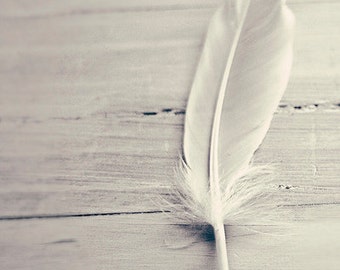 Still Life Photography: Shades of White Fine Art Photography White Feather Photo Grey Black and White Vertical Print