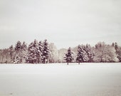 Winter decor: Snow Top Forest Fine Art Photography, Winter Art,  Landscape Photo, Winter Nature Photography Wall art, Snow Tree wall art