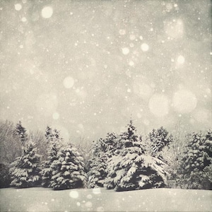 Winter Art Print: Snow Globe Fine Art Photography, Snow Bokeh Tree Print white Nature Photography Wall Art Grey Landscape Photography