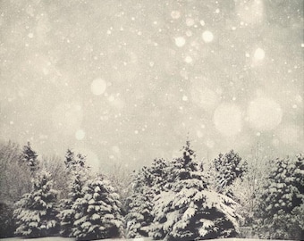 Winter Art Print: Snow Globe Fine Art Fotografie, Snow Bokeh Tree Print wit Natuurfotografie Wall Art Grijs Landschap Fotografie