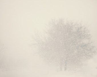 Snowy Tree Photography Print: Winter White Out Nature Art