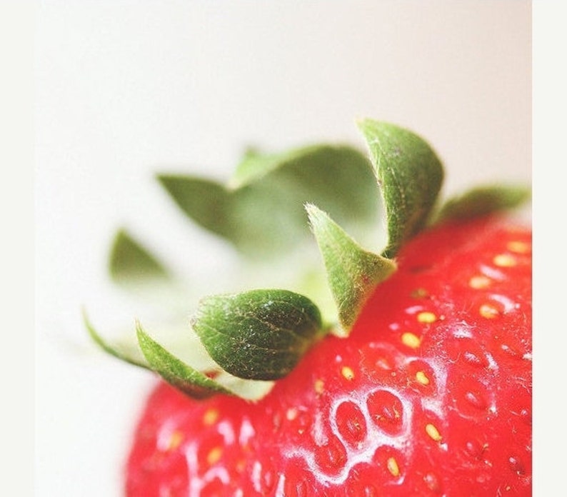 Kitchen Art: Strawberry Fine Art Food Photography Art for Kitchen Fruit Still life photography, Macro Red Fruit Print Strawberry Art image 1