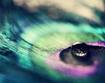 Peacock feather and water drop: Still Life Photography Iridescent Fine Art Macro Photography Teal Green Purple Home Decor Peacock print