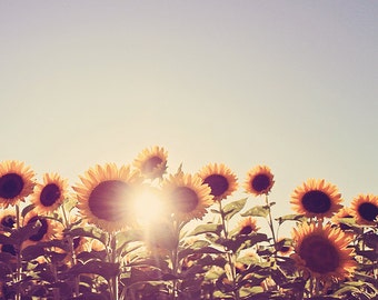 Nature Photography Flower Photo: Sunflowers "Sunny Flowers" Fine Art Photography Fall Decor Nature  wall art  prints Yellow Flowers