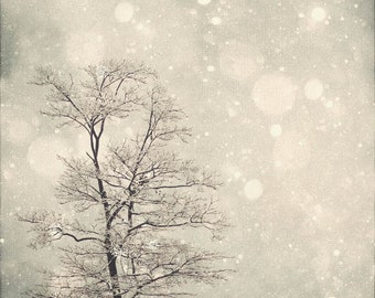 May include: A bare tree branch silhouette against a light gray background with a snowy effect. The background has a subtle bokeh effect with white and gray circles.