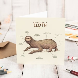 Anatomie einer Faultierkarte