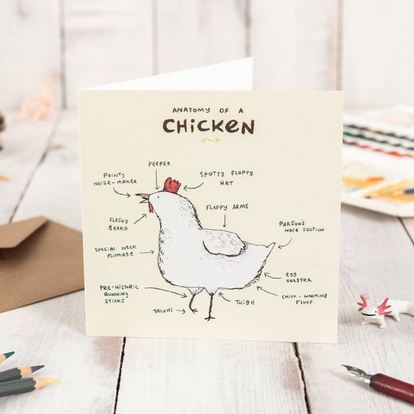 Anatomy Of A Chicken Card