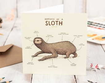 Anatomy of a Sloth Card