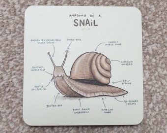 Peut inclure: Une illustration dessinée à la main d'un escargot avec des étiquettes pointant vers différentes parties de son anatomie. Les étiquettes comprennent "enchanted retractable whisle stalks", "rampant munch flap", "googly eyes", "compact mobile home", "clockwise whirlsis", "fit of despair", "gastro-boo", "gooey ewwie underbelly", "slime line maker", et "go-slower stripes".