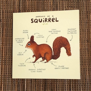 Anatomy Of A Squirrel Card image 2