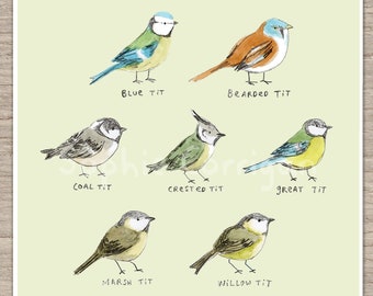 The Tit Family Birds Signed Fine Art Print - Etsy