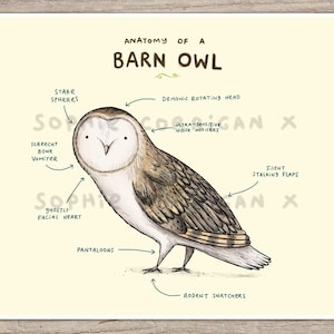 May include: A hand-drawn illustration of a barn owl with anatomical labels. The owl is depicted in a light brown and white color scheme with a yellow beak and black eyes. The labels include "Demonic Rotating Head", "Ultra-Sensitive Noise Gatherers", "Screecat Bone Vomiter", "Ghostly Facial Heart", "Pantaloons", "Eight Stalking Flaps", and "Rosent Snatchers".