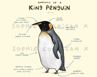 Anatomy of a King Penguin Signed Art Print
