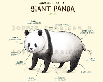 Anatomy of a Giant Panda Bear Signed Fine Art Print