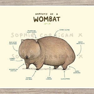 Wombat Poster Etsy