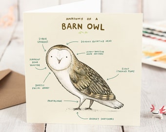 Anatomy Of A Barn Owl Card - Scientific Anatomical Animal Illustration - Funny Cute Barn Owl Greeting - UK Worldwide Postage Sophie Corrigan