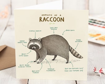 Anatomy Of A Raccoon Card