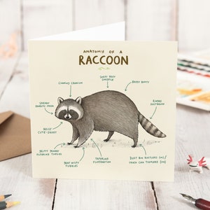 Anatomy Of A Raccoon Card