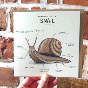 Anatomy of a Snail Card - Scientific Anatomical Animal Illustration - Funny Cute Snails Birthday Gift - UK Worldwide Postage Sophie Corrigan