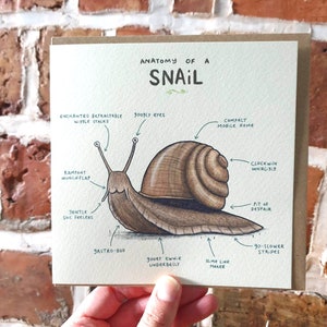 Tarjeta de anatomía de un caracol - Ilustración anatómica científica de un animal - Divertido y tierno regalo de cumpleaños con caracoles - Envío internacional al Reino Unido Sophie Corrigan