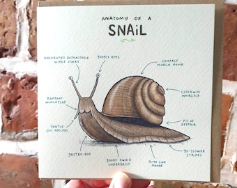 Anatomy of a Snail Card - Scientific Anatomical Animal Illustration - Funny Cute Snails Birthday Gift - UK Worldwide Postage Sophie Corrigan