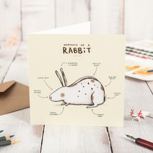 Carte Anatomie d'un lapin