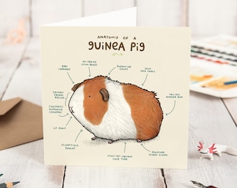 Anatomy Of A Guinea Pig Card