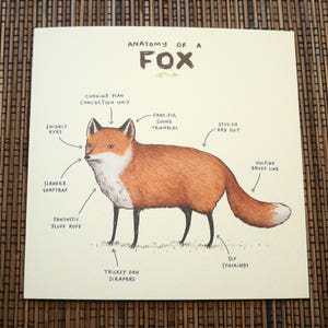 Anatomy Of A Fox Card zdjęcie 2
