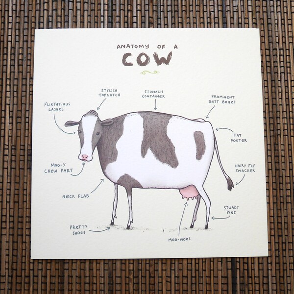 Anatomy Of A Cow Card