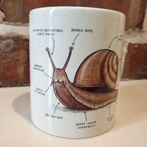 Anatomy of a Snail Mug