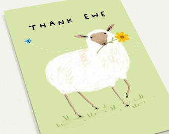 Thank Ewe Pack of 10 Postcards - Sheep Thank You Note