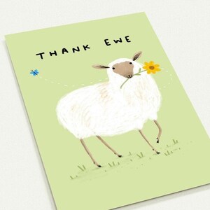 Thank Ewe Pack of 10 Postcards - Sheep Thank You Note