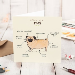 Carte de voeux Anatomie d'un carlin - carlins mignons drôles - chien - illustration animale anatomique scientifique - affranchissement mondial au Royaume-Uni Sophie Corrigan