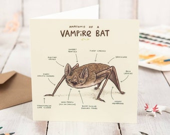 Anatomy Of A Vampire Bat Card