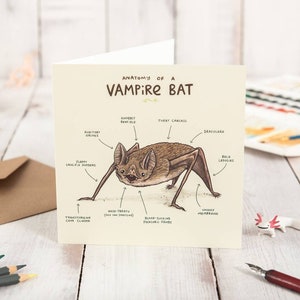 Anatomy Of A Vampire Bat Card