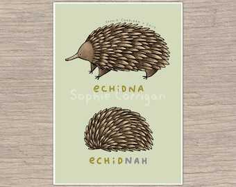 Echidna Echidnah Art Print - Cute Echidnas - Australian Animals Art - Funny Pun Illustration - UK Seller Worldwide Postage - Sophie Corrigan