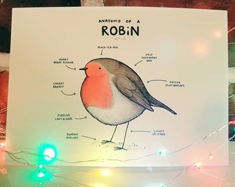 Anatomy of a Robin Signed Art Print