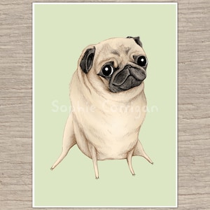 Sweet Fawn Pug Portrait Signed Fine Art Print