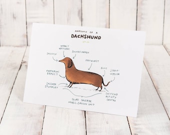 Anatomy Of A Dachshund A4 Signed Print