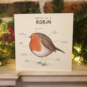 Anatomia di una carta di pettirosso - Cartolina di Natale Cute Robin