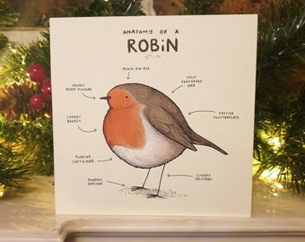 Anatomy Of A Robin Card - Cute Robin Christmas Card