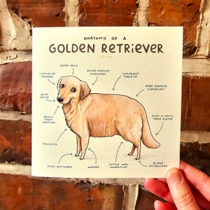 Anatomie eines Golden Retriever Grußkarte - Lustiger niedlicher Hund Wissenschaftliche Anatomische Tier-Illustration Großbritannien Weltweites Porto Sophie Corrigan