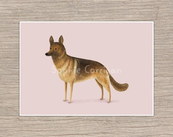 German Shepherd Portrait Signed Art Print