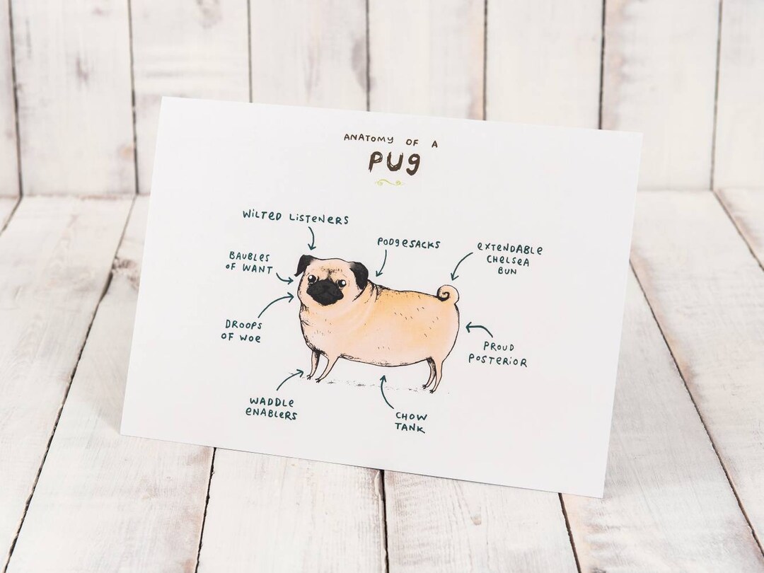 パグの解剖学プリント：面白い科学的な犬のイラスト - Etsy 日本