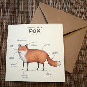 Anatomy Of A Fox Card zdjęcie 4